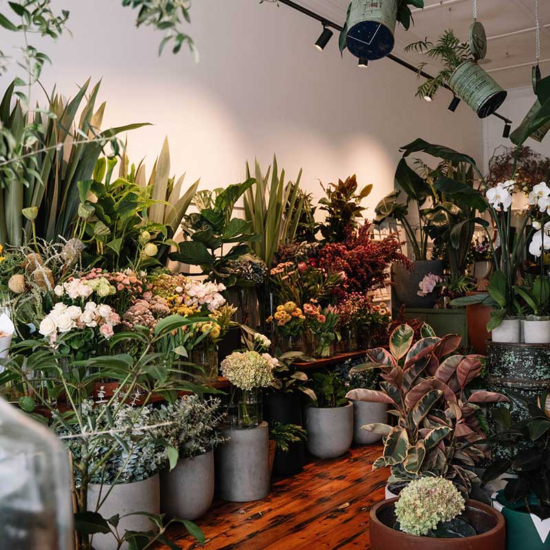 Hampstead Flowers, Locally grown flowers, Bridge Road, Richmond Florist, Melbourne
