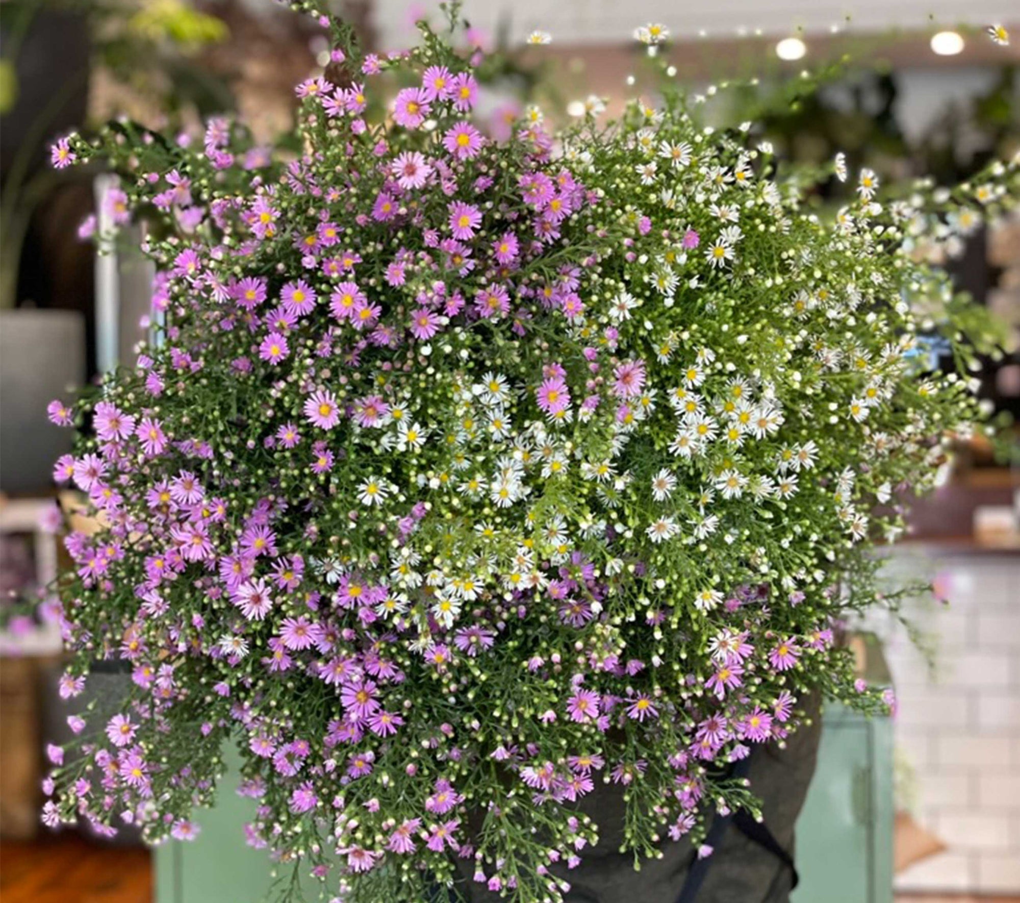 Why Hampstead Flowers Sources Locally Grown Flowers from Victoria