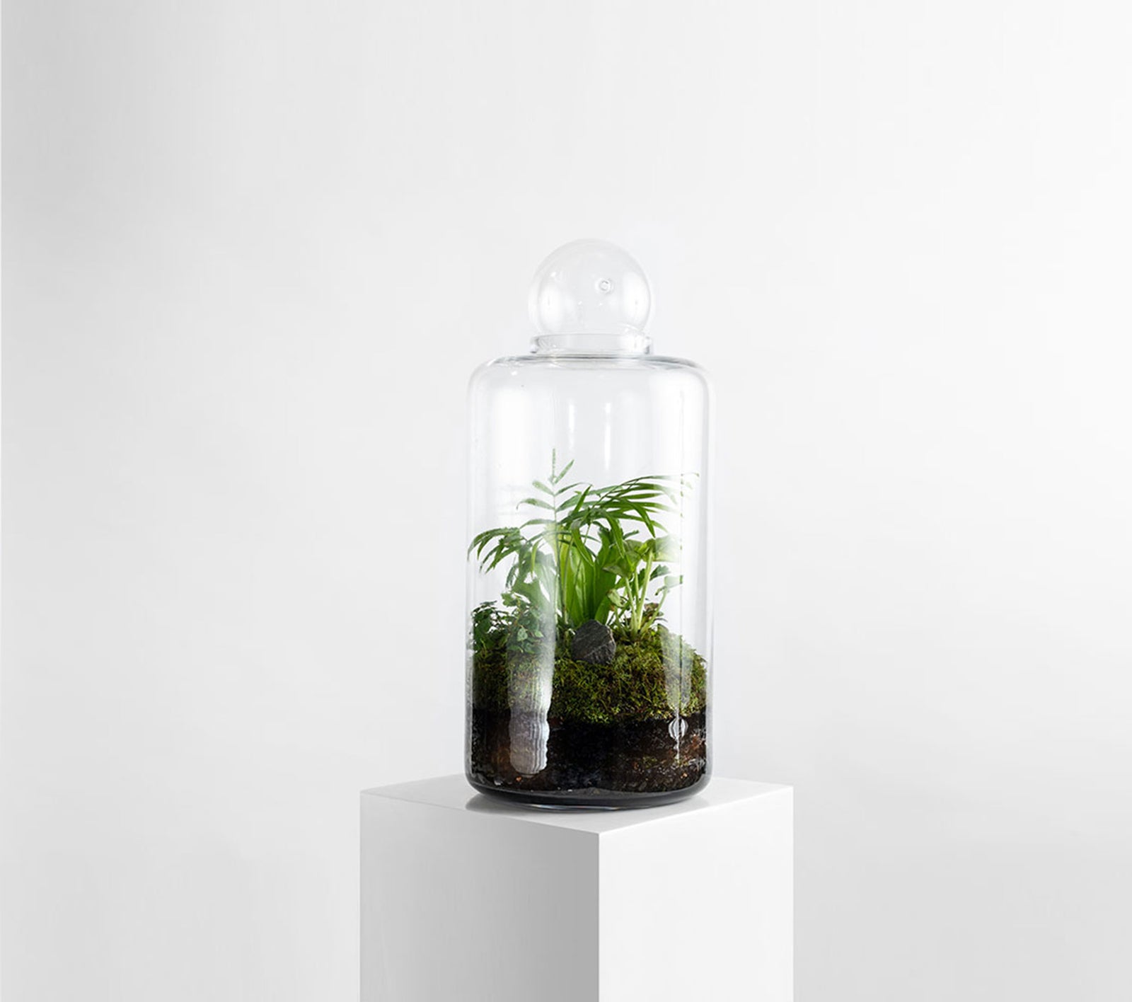 LULU + ANGEL TERRARIUM,  Hampstead Flowers and plants