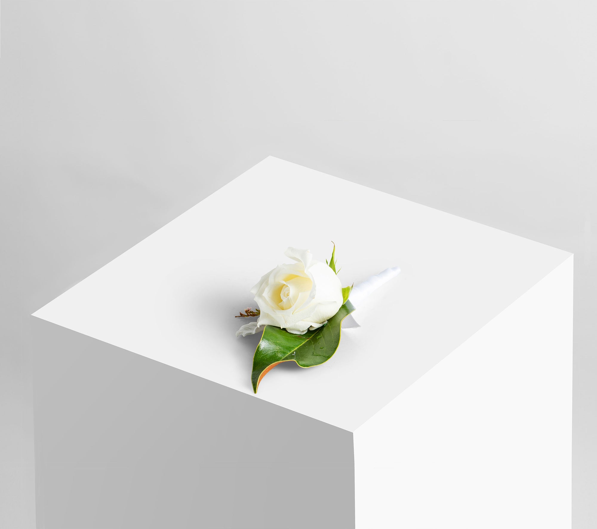 READY-TO-GO WEDDINGS,easy weddings, shop online, weddings online