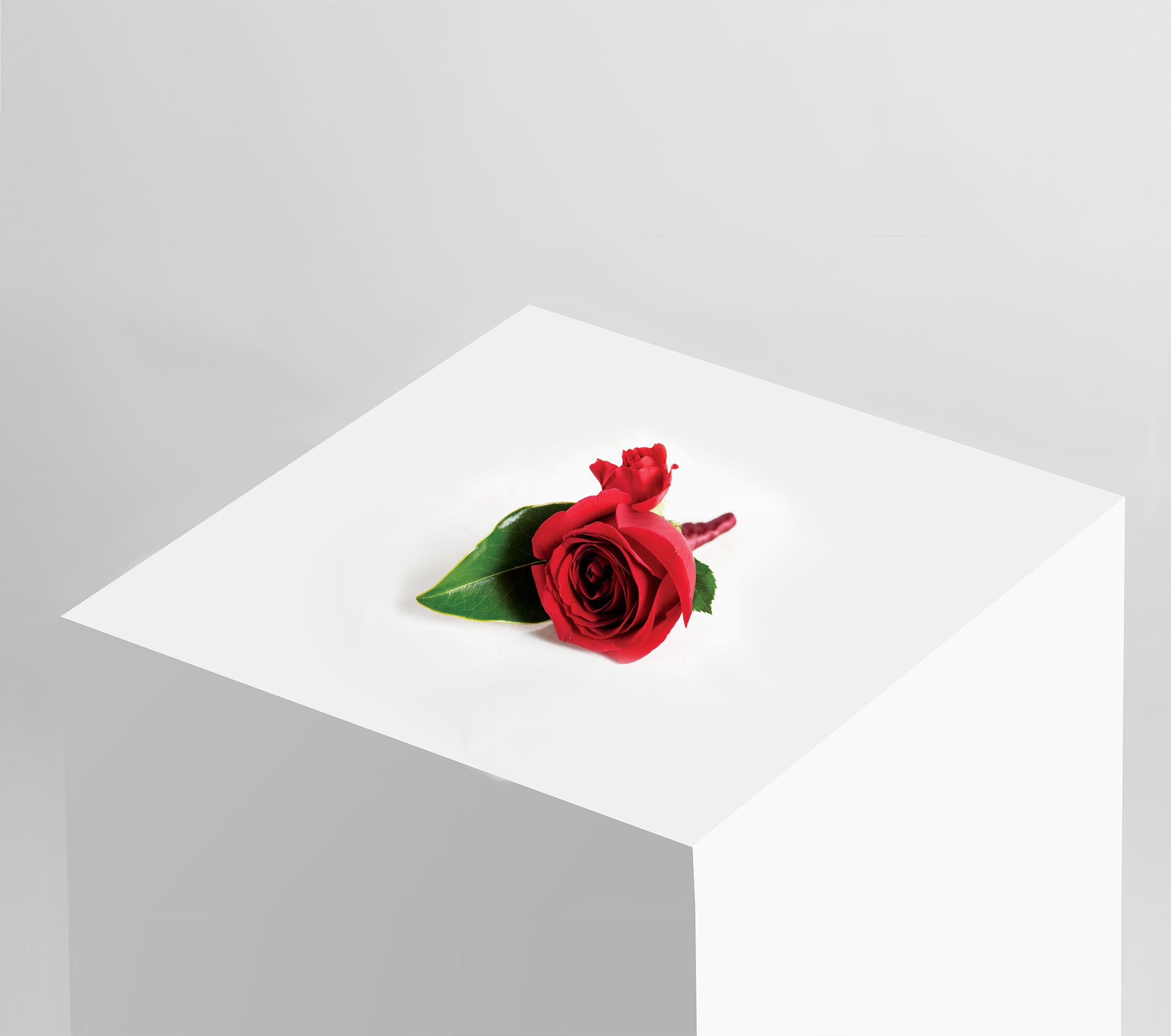 READY-TO-GO WEDDINGS,easy weddings, shop online, weddings online, wedding packages