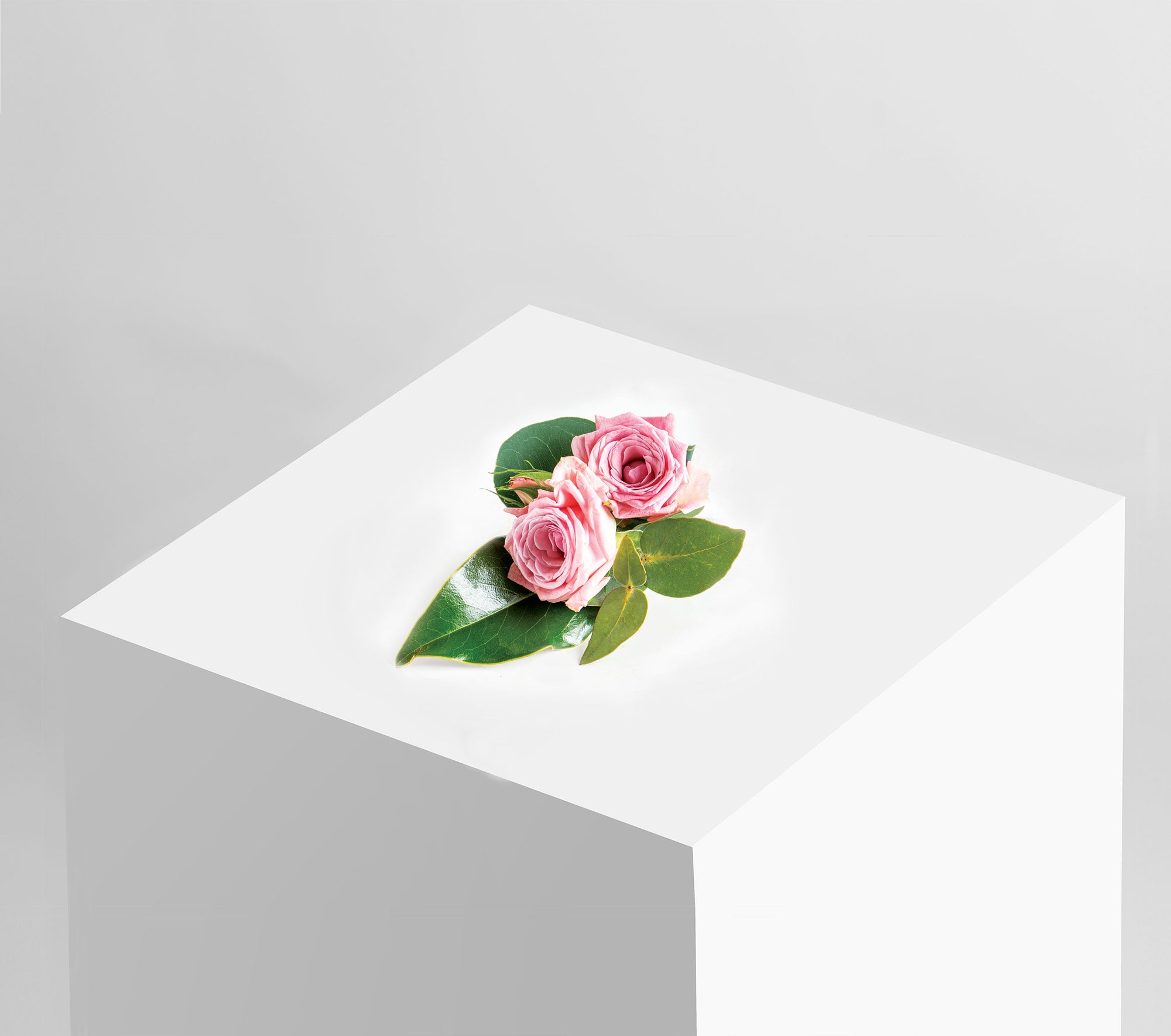 READY-TO-GO WEDDINGS,easy weddings, shop online, weddings online, wedding packages