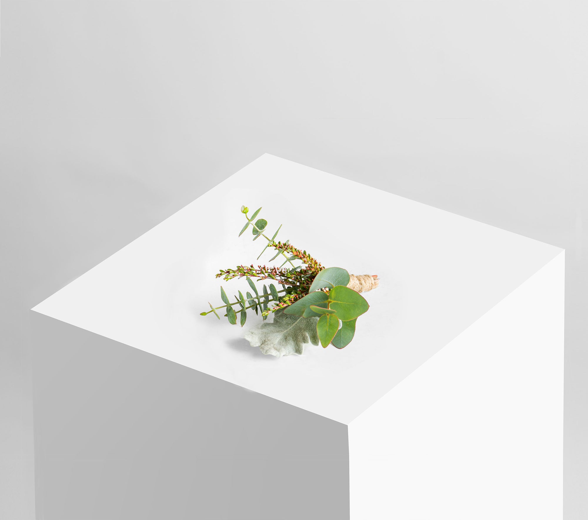 READY-TO-GO WEDDINGS,easy weddings, shop online, weddings online, wedding packages