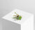 READY-TO-GO WEDDINGS,easy weddings, shop online, weddings online, wedding packages